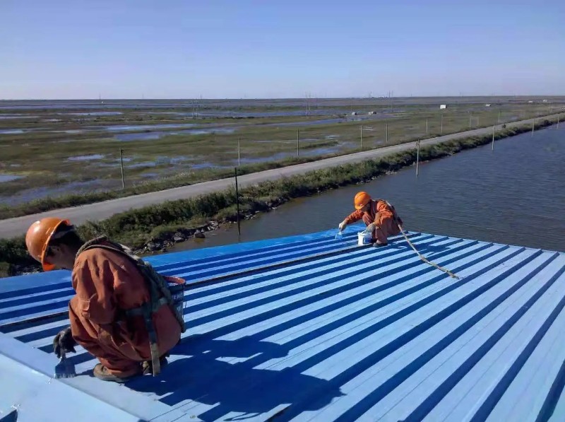 梨林镇钢结构屋面漏水原因